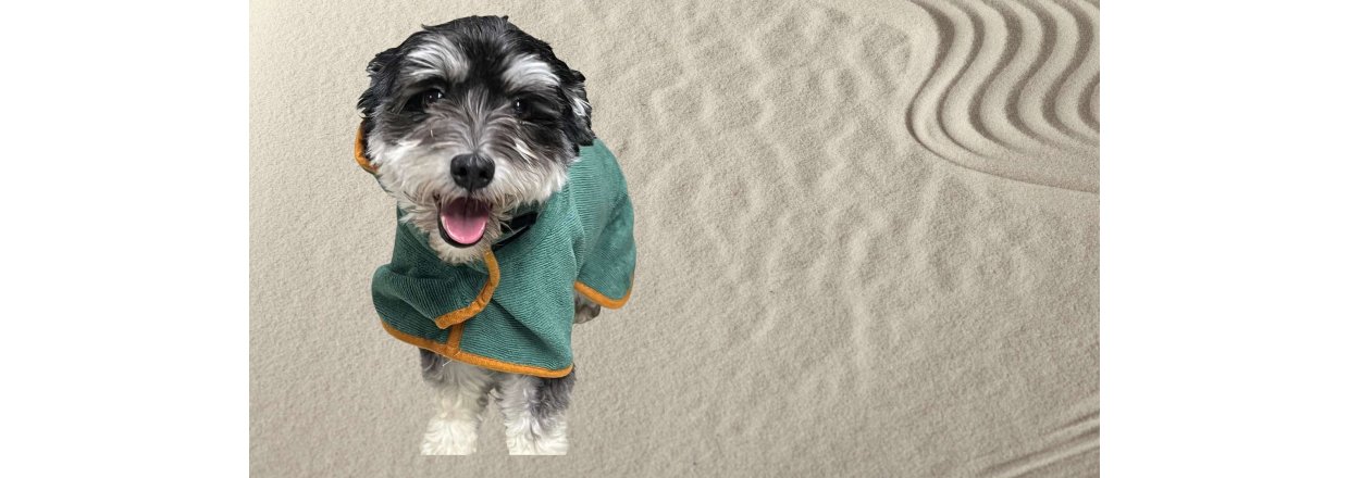 Hvorfor vlge Zoneterapi og akupressur til din hund.